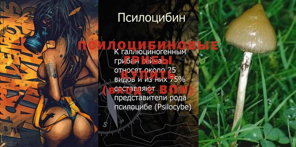 ALPHA PVP Алексеевка