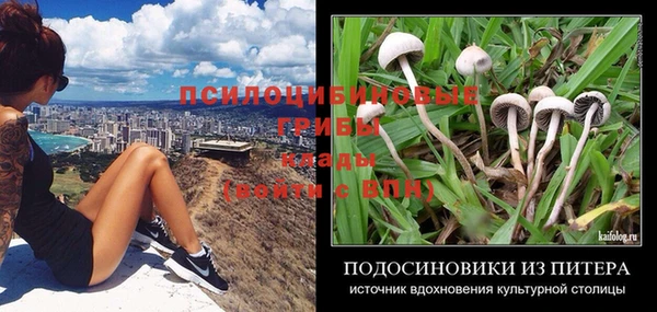 соль курить ск Пролетарск