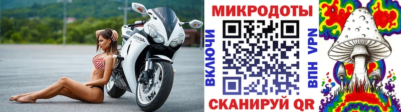 Псилоцибиновые грибы мицелий Каменногорск
